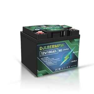 DJDC 12V 100Ah LiFePO4 Battery 4000+ Lifecyles